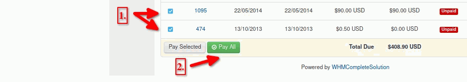 Pay multiple WHMCS invoices in one payment