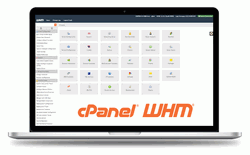 cPanel WHM License icon